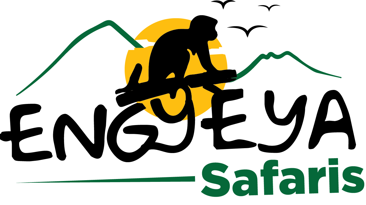 Engyeya Safaris