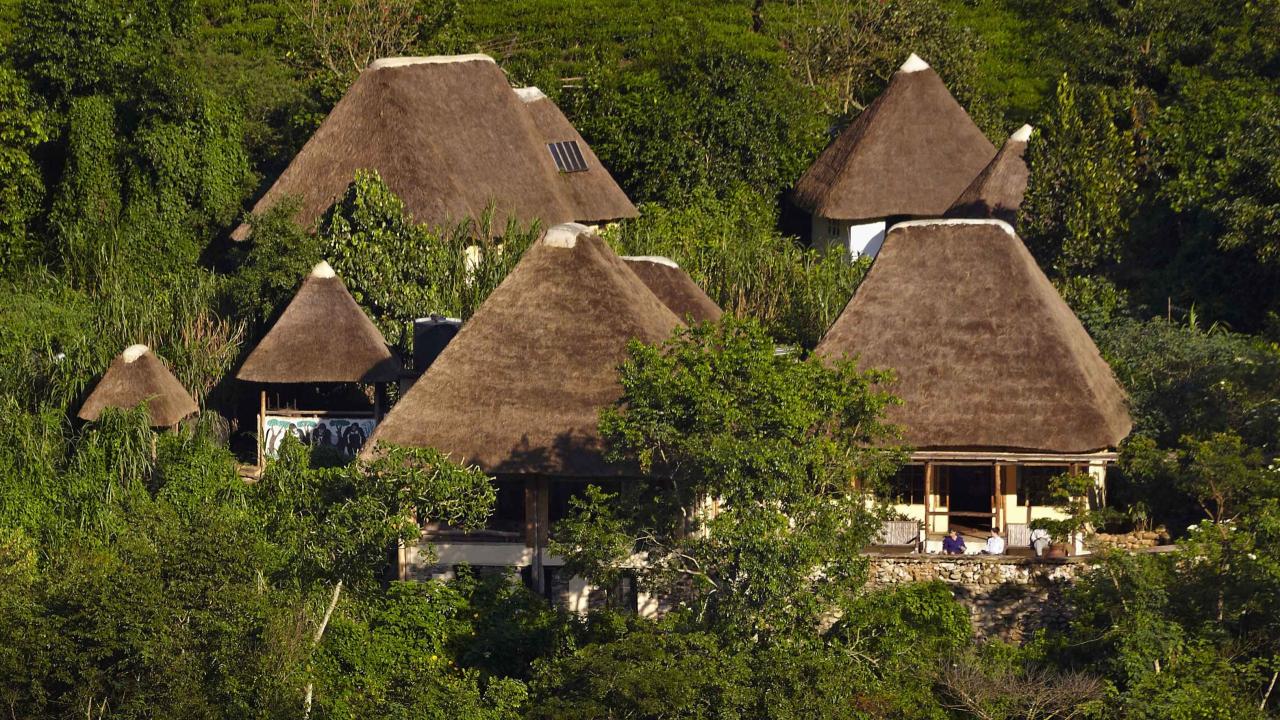 Property View 1