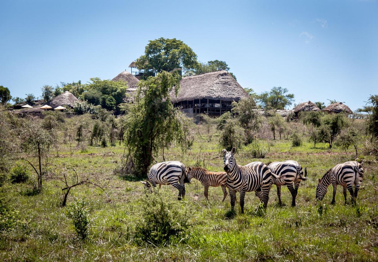 Apoka Safari Lodge