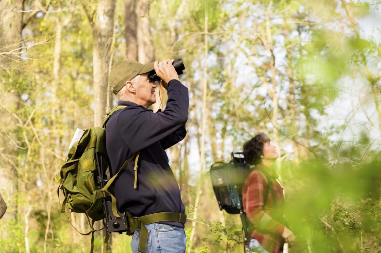 9 Day Uganda Birding Safari